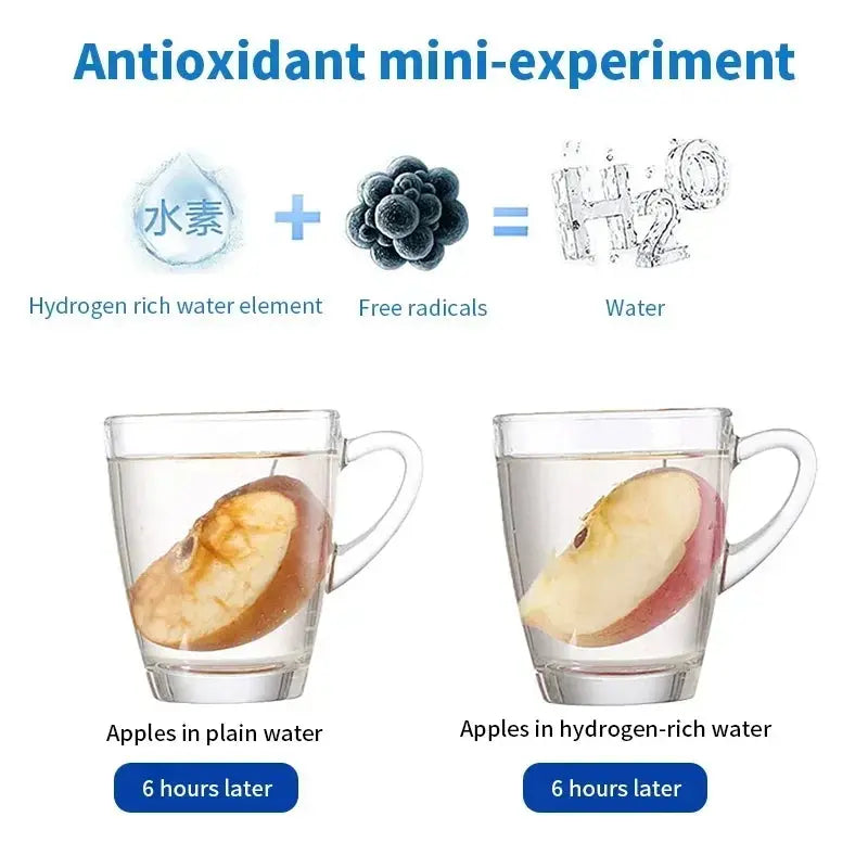 Hydrogen Water Bottle | Purification HolyPurity Wellness