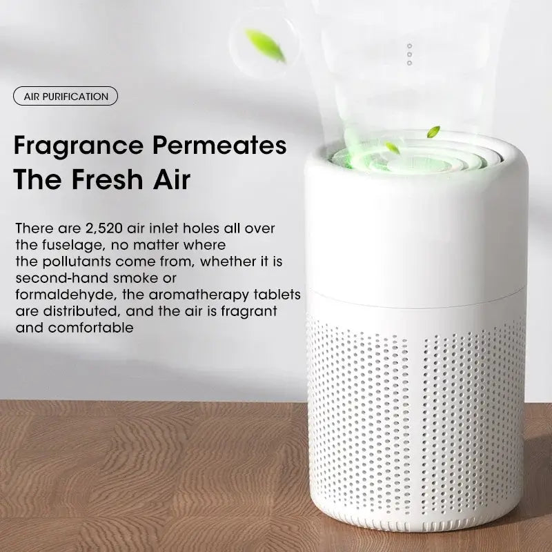HEPA Air Filter | Ionization & Purification