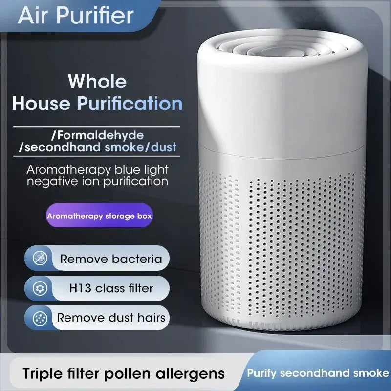 HEPA Air Filter | Ionization & Purification