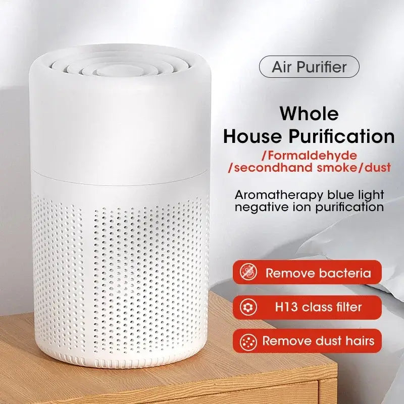 HEPA Air Filter | Ionization & Purification